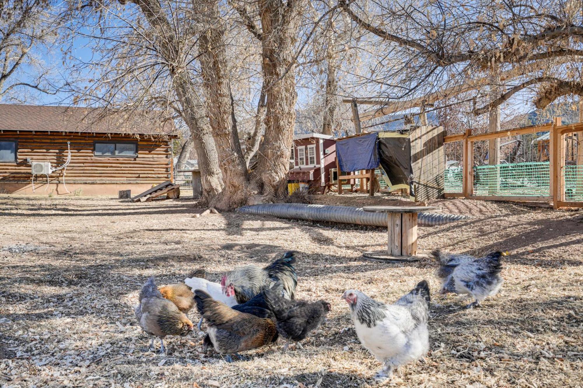 Cozy Parowan Studio 12 Mi To Brian Head Resort! Экстерьер фото