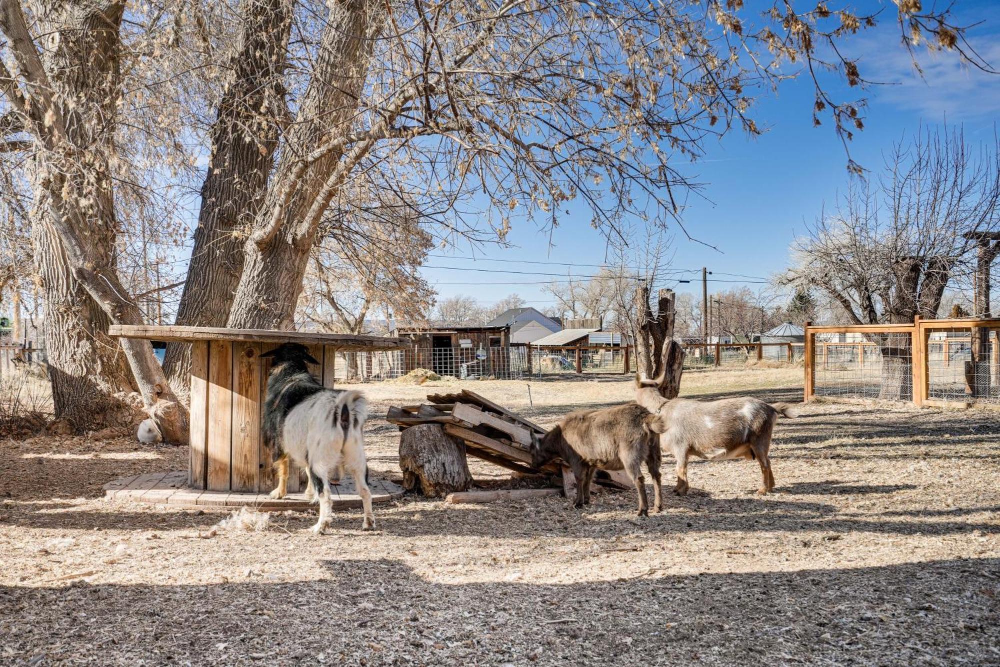 Cozy Parowan Studio 12 Mi To Brian Head Resort! Экстерьер фото